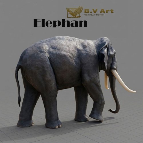 Elephant Statue
