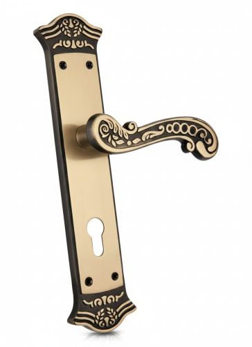 Brass Experio Mortice Handle