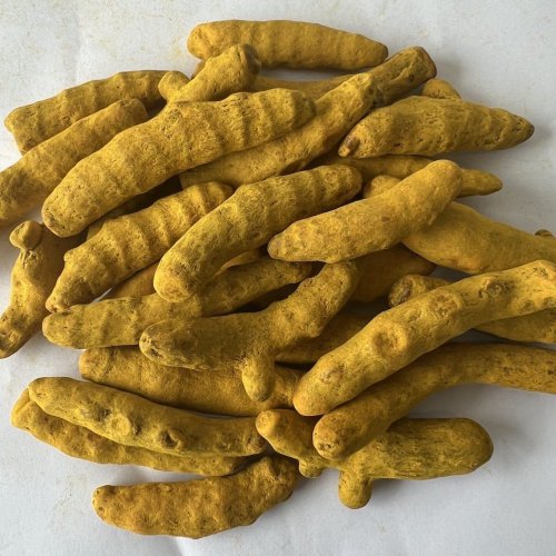 Rajapuri Turmeric Finger