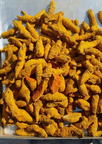 Salem Turmeric Finger