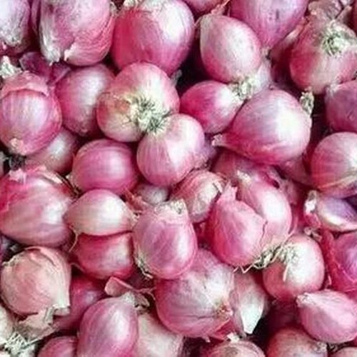 Fresh Nashik Onion