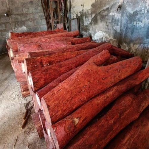 Round Red Sandalwood Logs