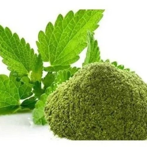 Dehydrated Mint Leaves Powder
