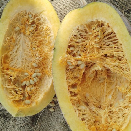 A Grade Fresh Pumpkin