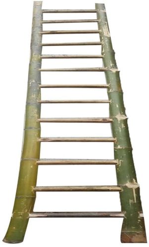 10 Feet Bamboo Ladder