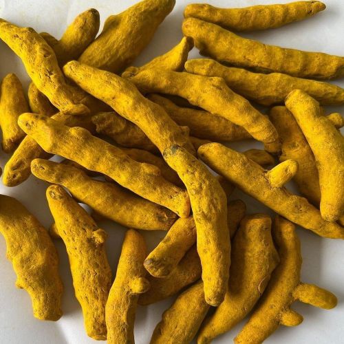 Single Polished Turmeric Finger