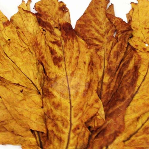 Tobacco Leaves