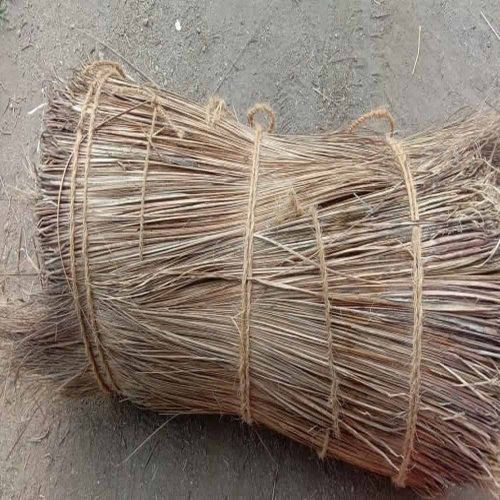 Coconut Broom Raw Material