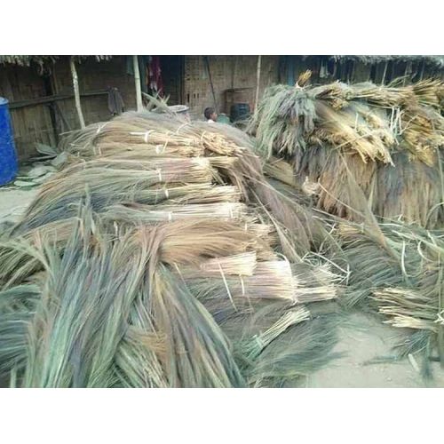Grass Broom Raw Material