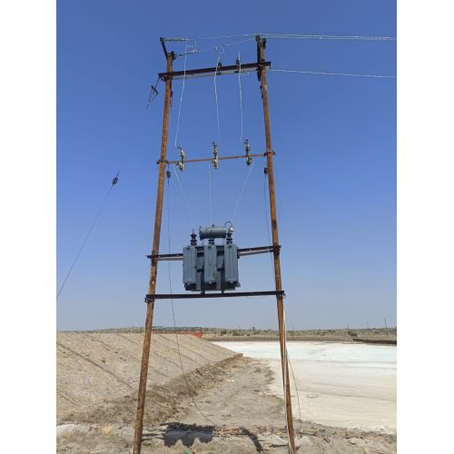 DP Structure Erection Services