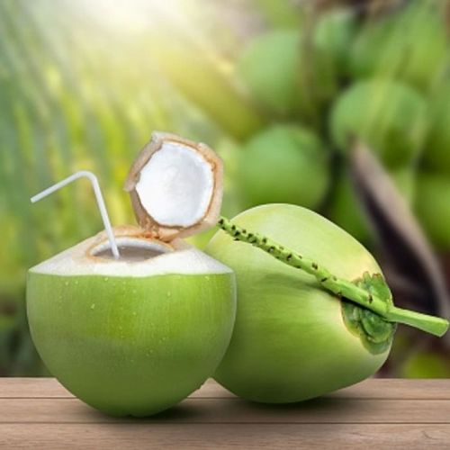 Small Green Tender Coconut