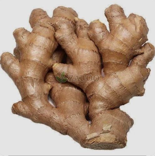 A Grade Fresh Ginger