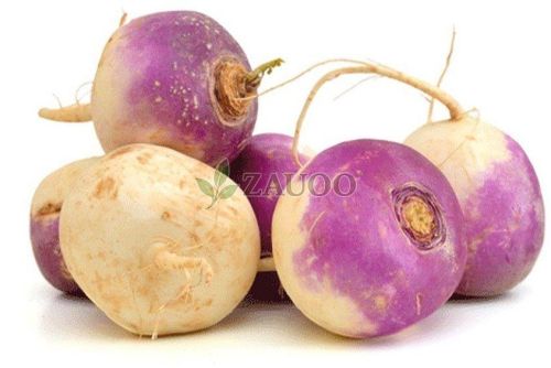 A Grade Fresh Turnip