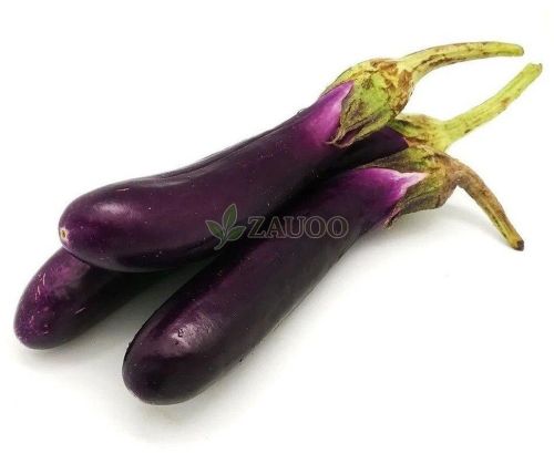 A Grade Purple Fresh Long Brinjal