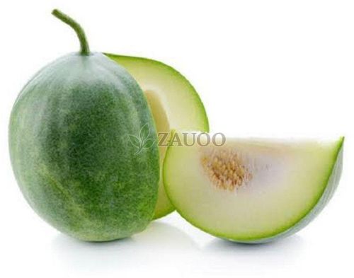 Fresh Ash Gourd