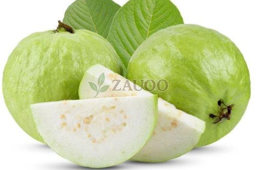 Fresh Guava