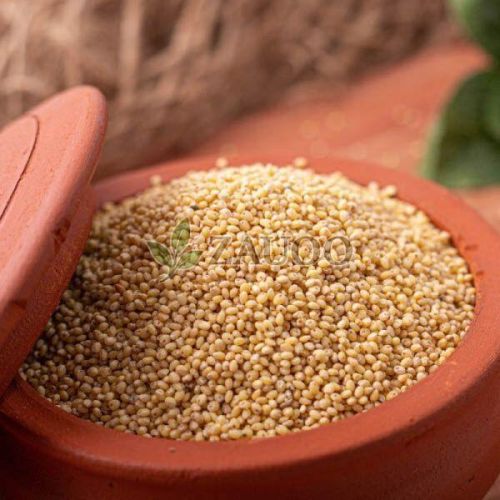 Pearl Millet Seed