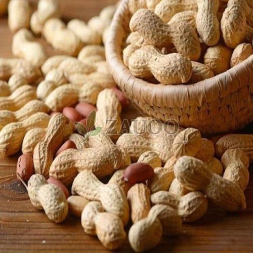 Shelled Groundnuts
