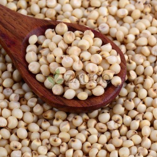 Sorghum Millet Seed