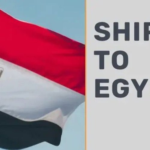 International Shipping Service For Egypt