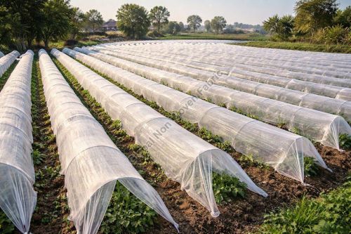 Agriculture Crop Cover