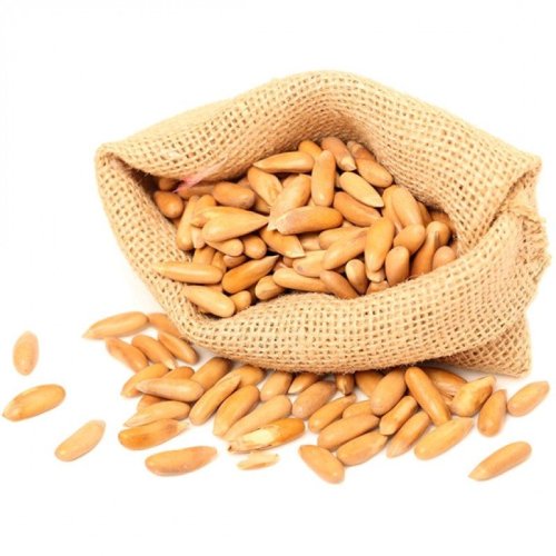 Pine Nut Kernel