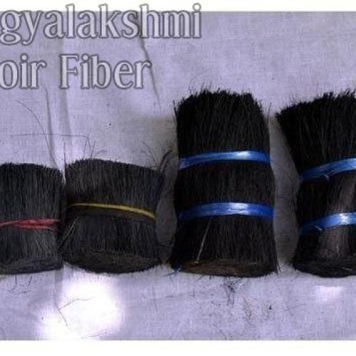 Black Coir Bristles