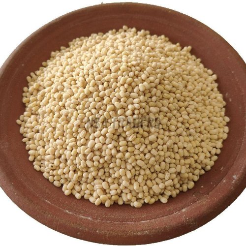 Whole White Urad Dal