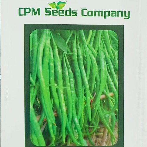 Chilli Seeds