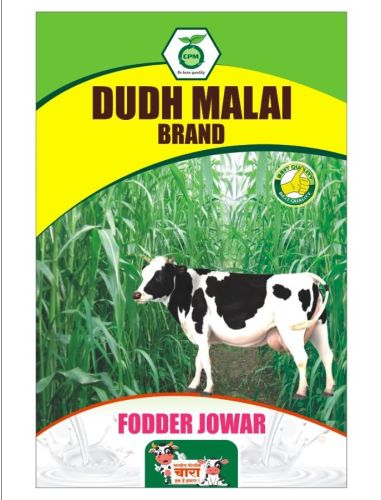 Fodder Jowar