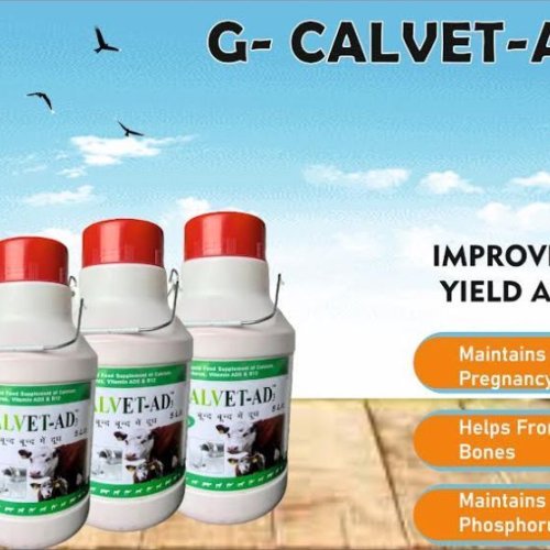 G-CALVET-AD3