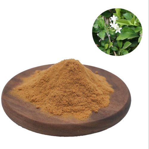 Bacopa Extract