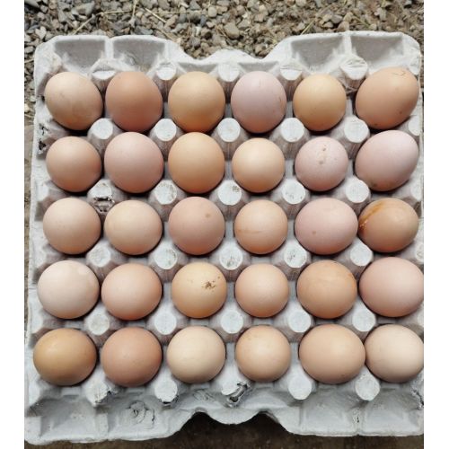 Sonali Chicken Egg
