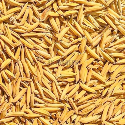 Yellow Long Grain Paddy Rice