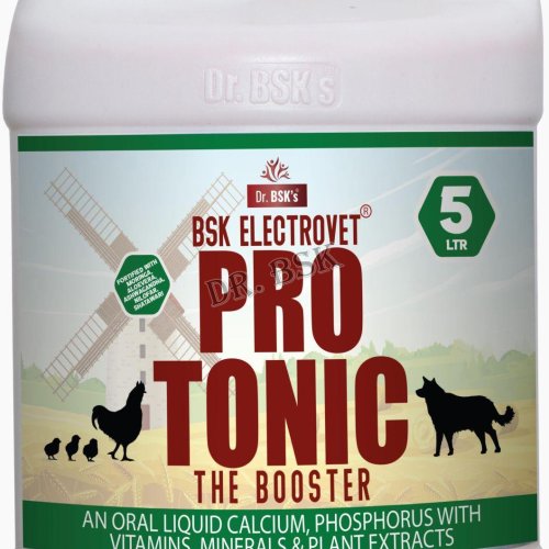 DR. Bsk Electrovet PRO Tonic