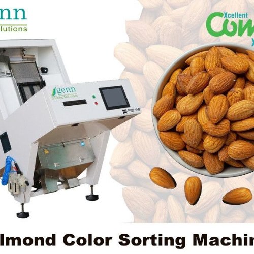 Almond Color Sorter Machine