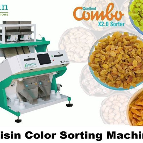 Dry Grapes Color Sorter Machine