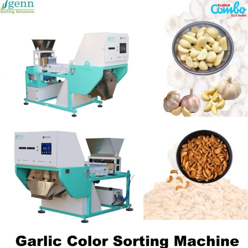 Garlic Color Sorter Machine