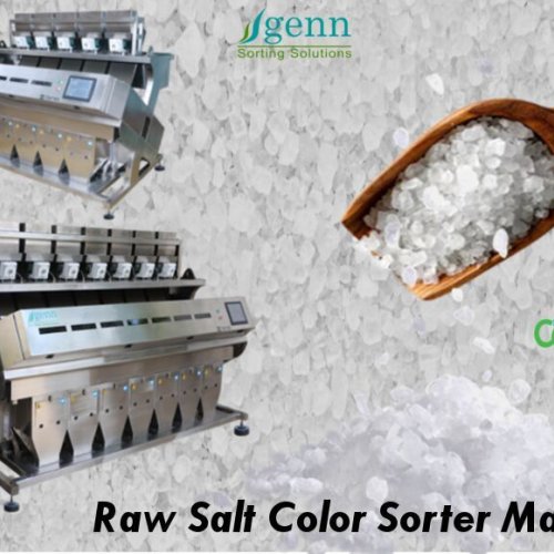 Raw Salt Color Sorter Machine
