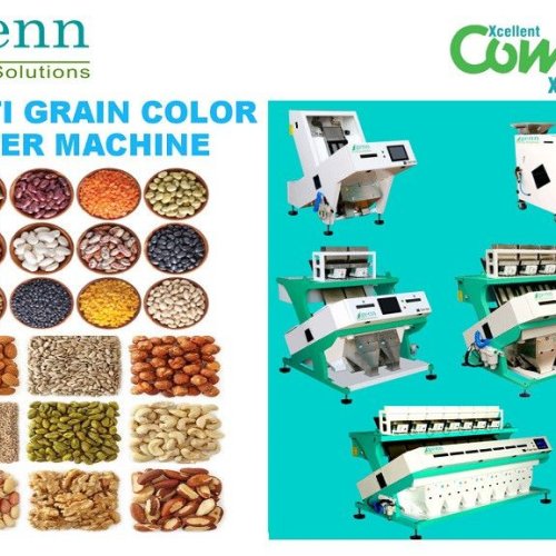 Tamarind Seed Color Sorter