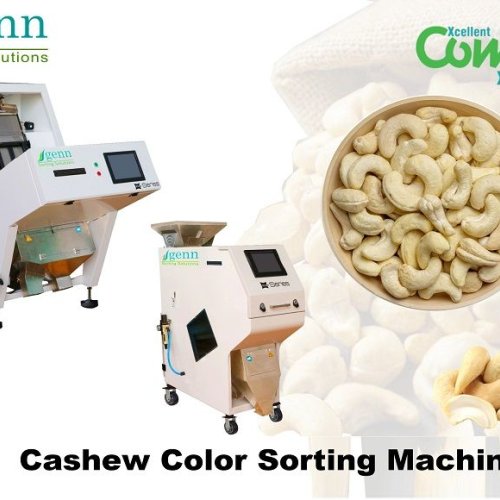 Whole Cashew  Color Sorter Machine