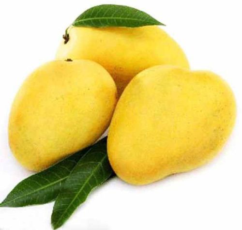 A Grade Fresh Chausa Mango