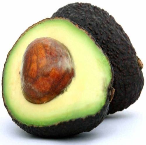 A Grade Fresh Avocado