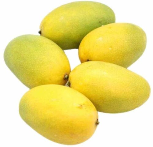 A Grade Fresh Himsagar Mango