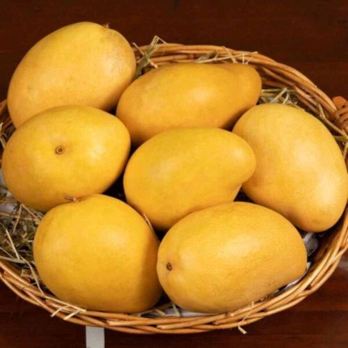 A Grade Fresh Malgova Mango
