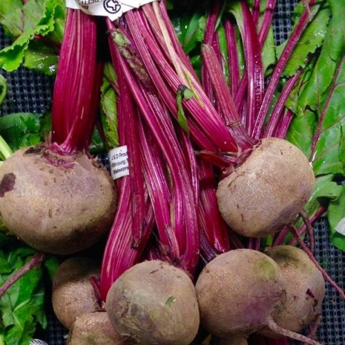 A Grade Organic Fresh Beetroot