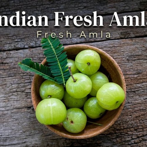 Indian Fresh Amla