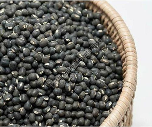 Whole Urad Dal