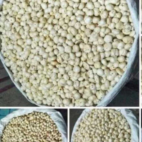 4 Suta Phool Makhana