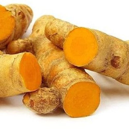 Fresh Yellow Turmeric Finger
